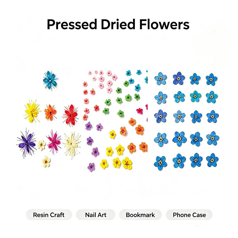 60pcs Mini Pressed Dried Flowe - огляд і ціна Resin Craft Ideas