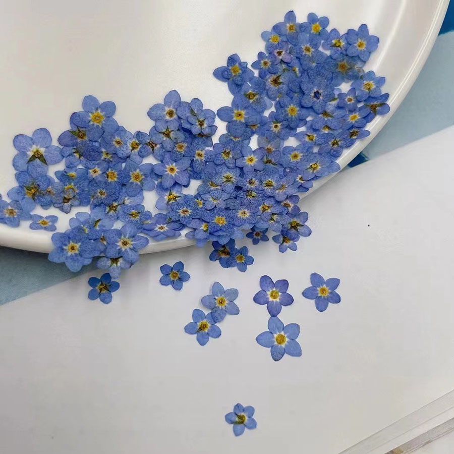 60pcs Mini Pressed Dried Flowe - огляд і ціна Resin Craft Ideas